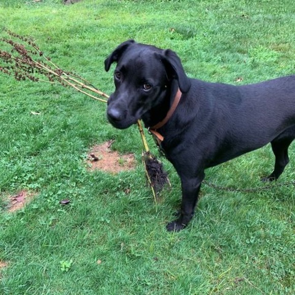 Meet your Posher, Nancy - Picture 1 of 1